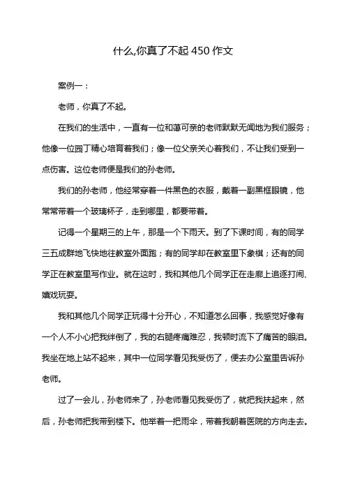 什么,你真了不起450作文