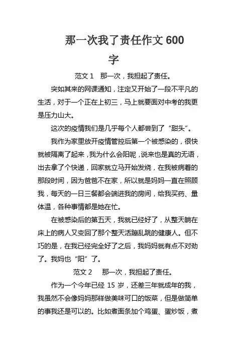 那一次我了责任作文600字