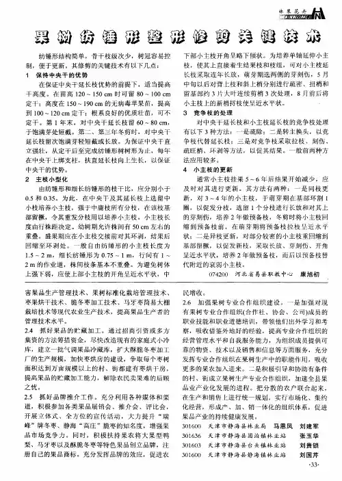 果树纺锤形整形修剪关键技术