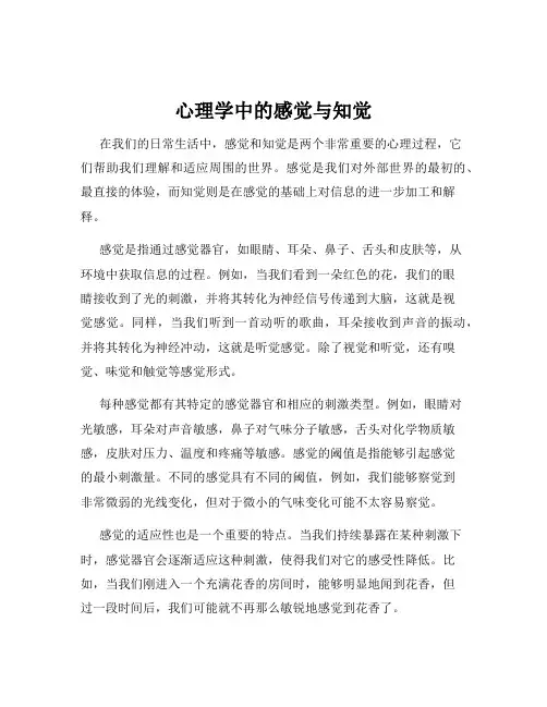 心理学中的感觉与知觉