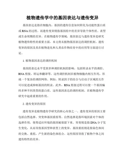 植物遗传学中的基因表达与遗传变异
