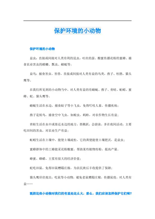 保护环境的小动物