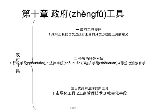 第十章政府工具
