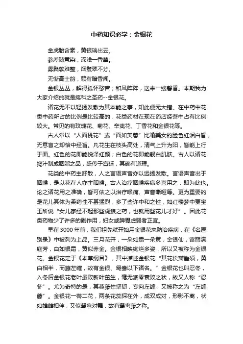 中药知识必学：金银花