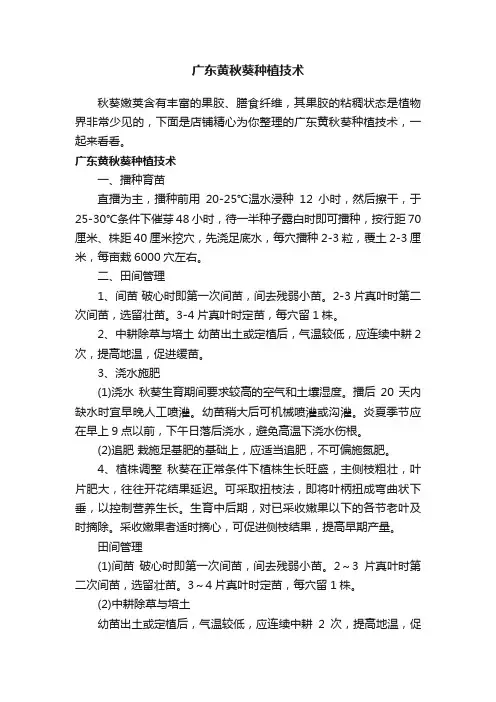 广东黄秋葵种植技术