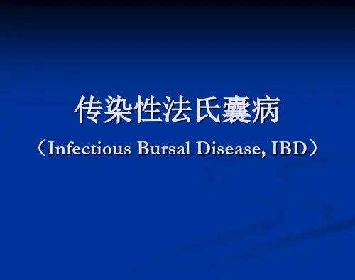 IBDV 传染性法氏囊病课件