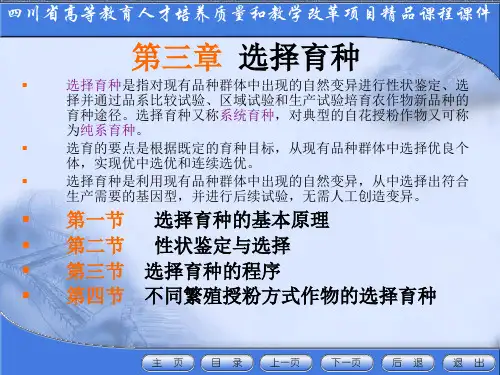 混合选择法