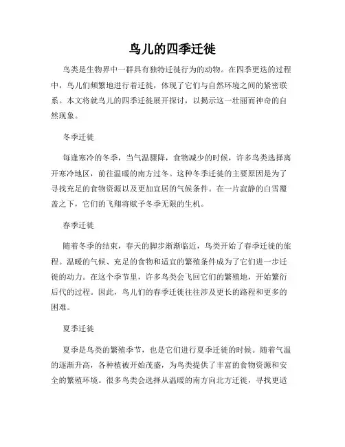 鸟儿的四季迁徙