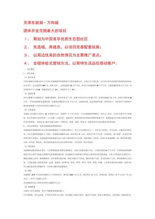 深圳某地产天津东丽湖项目全程策划