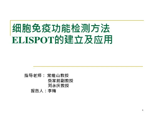 21_细胞免疫功能检测方法-ppt课件