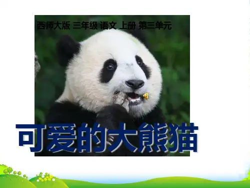 小学部编版语文11可爱的大熊猫1-优课件