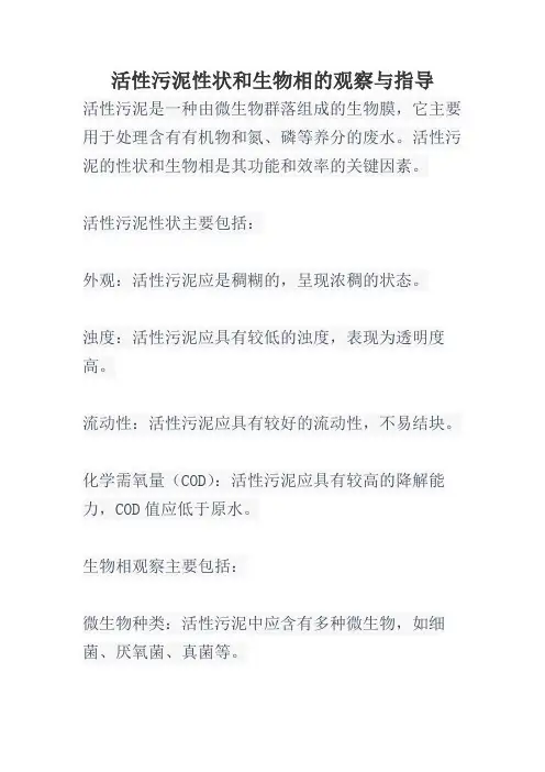 活性污泥性状和生物相的观察与指导
