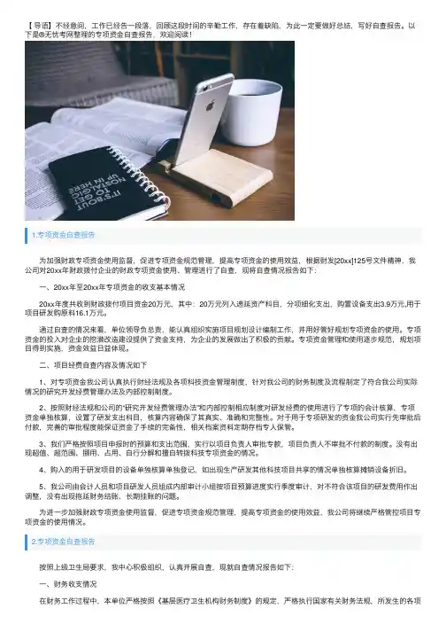专项资金自查报告10篇