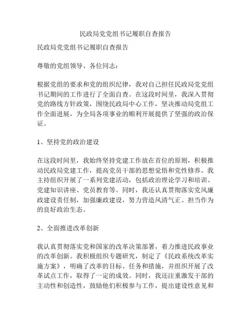 民政局党党组书记履职自查报告