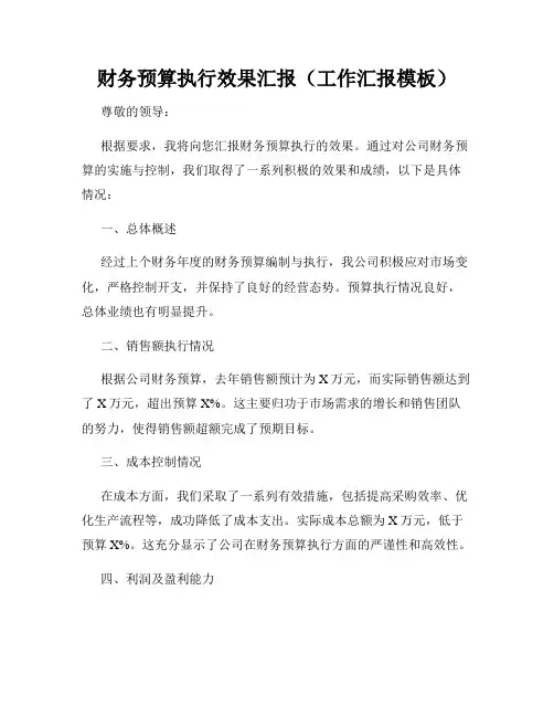 财务预算执行效果汇报(工作汇报模板)