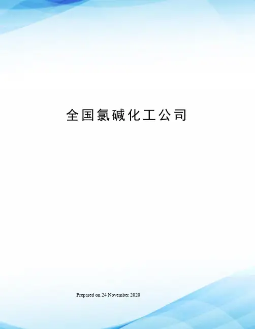 全国氯碱化工公司