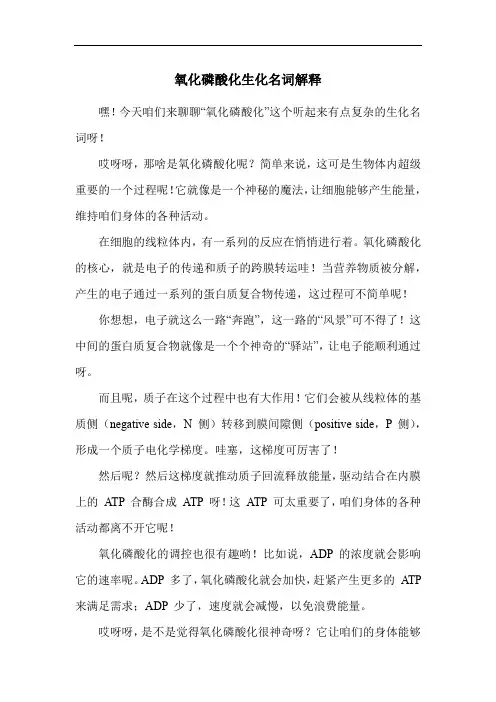 氧化磷酸化生化名词解释