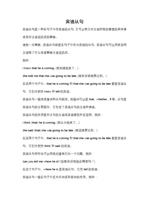 什么叫宾语从句,通俗一点