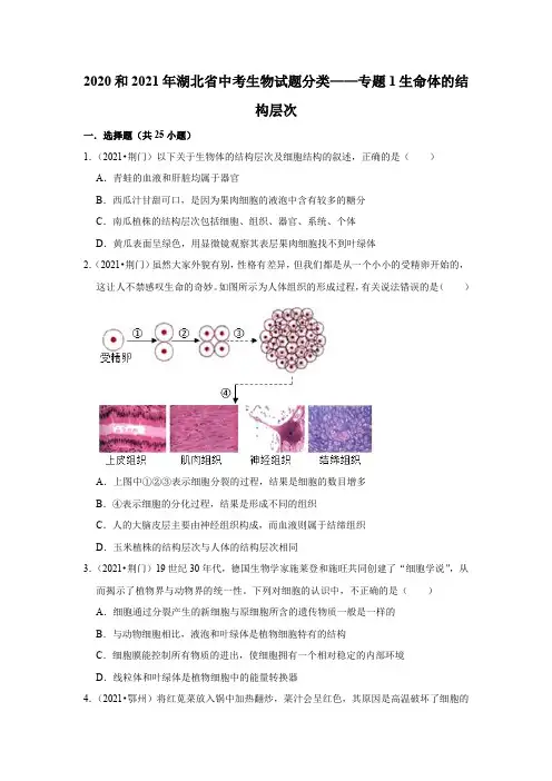 专题1生命体的结构层次——2020年和2021年湖北省中考生物试题分类
