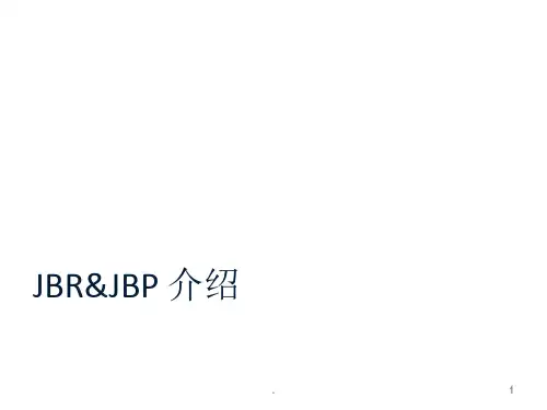 联合生意回顾与计划ppt课件