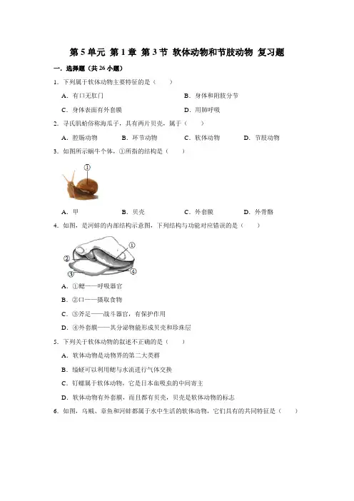 人教版生物八年级上册第5单元 第1章 第3节 软体动物和节肢动物 复习题