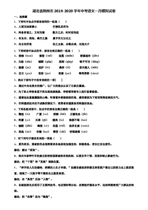 湖北省荆州市2019-2020学年中考语文一月模拟试卷含解析