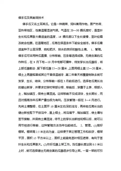 佛手瓜及其栽培技术