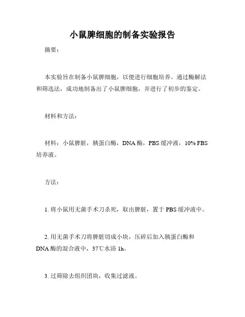 小鼠脾细胞的制备实验报告