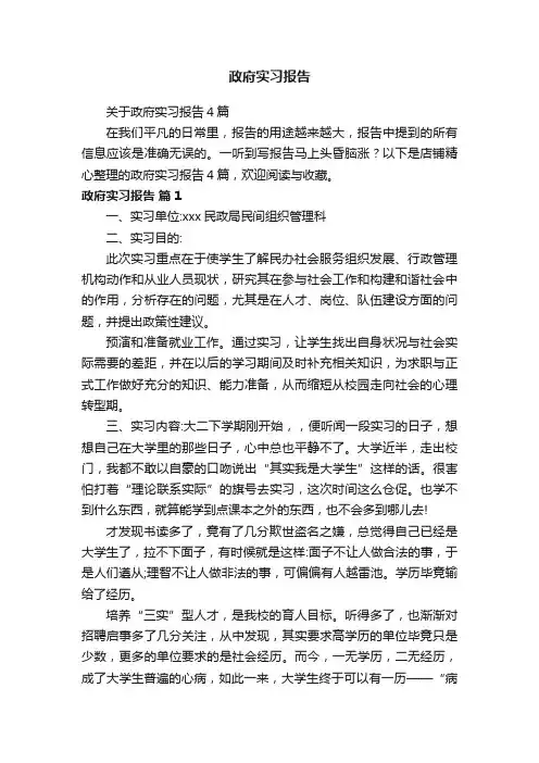 政府实习报告