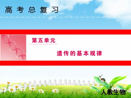 2019届高三人教版生物一轮复习课件：五单元14讲基因的分离定律