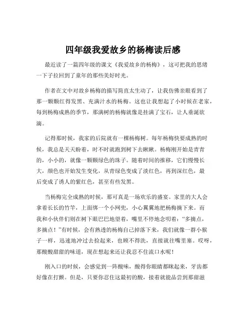 四年级我爱故乡的杨梅读后感