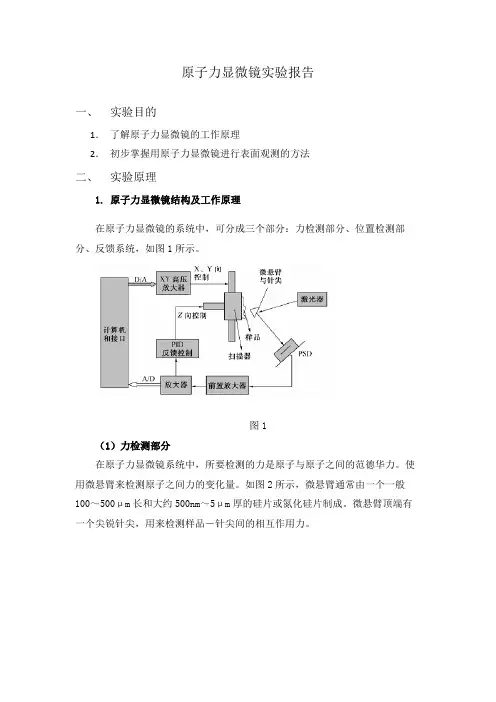原子力显微镜