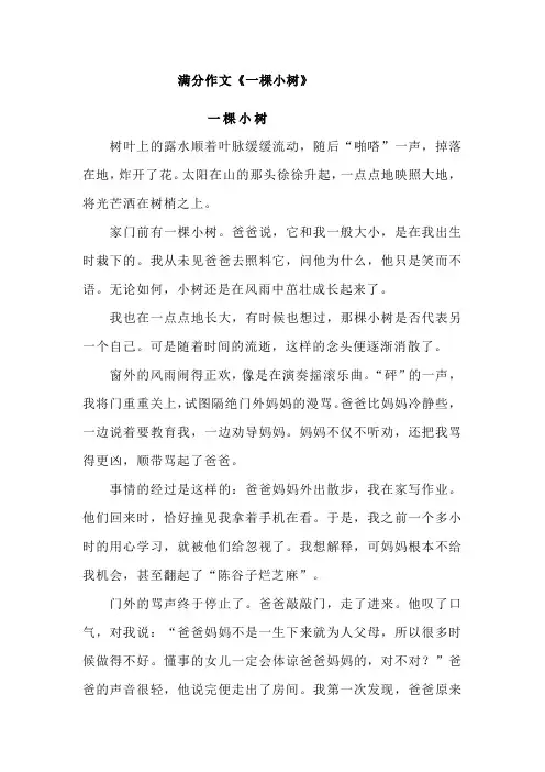 满分作文《一棵小树》