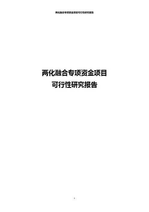 两化融合专项资金项目可行性研究报告