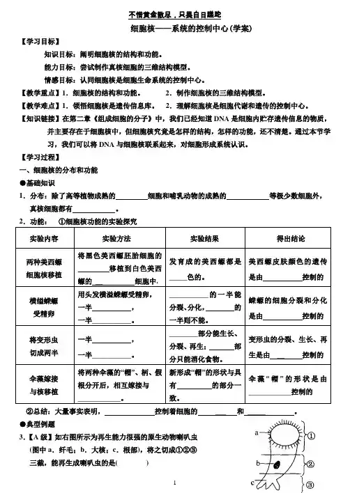 细胞核的学案及答案
