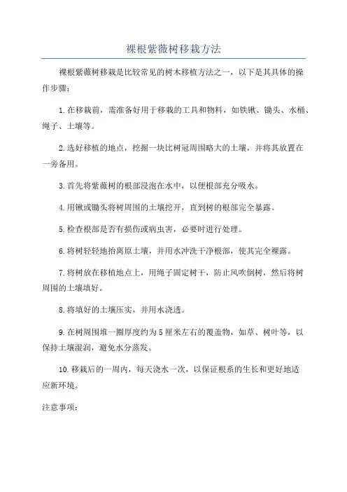 裸根紫薇树移栽方法