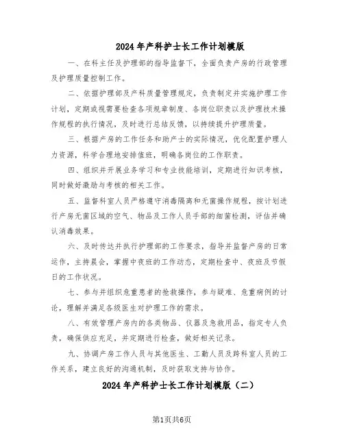 2024年产科护士长工作计划模版（三篇）