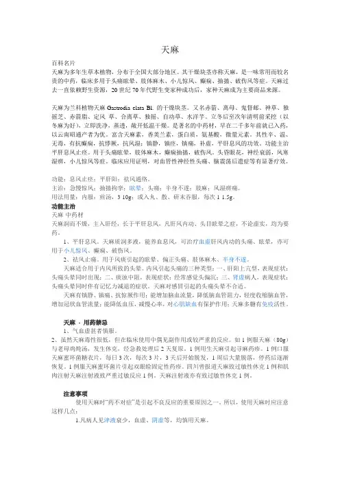 天麻