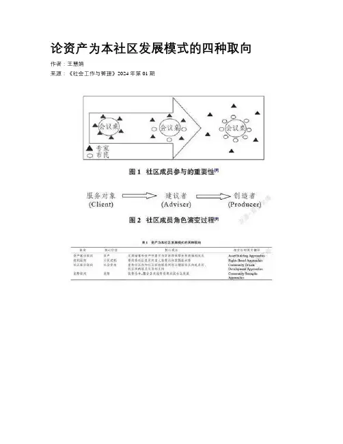 论资产为本社区发展模式的四种取向