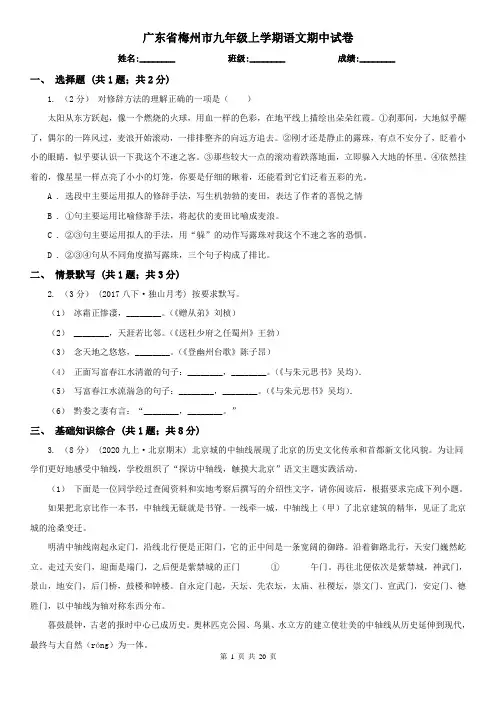 广东省梅州市九年级上学期语文期中试卷