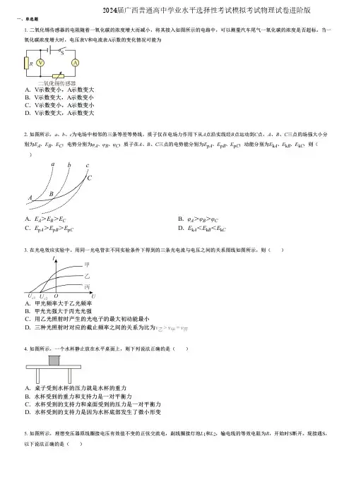 2024届广西普通高中学业水平选择性考试模拟考试物理试卷进阶版