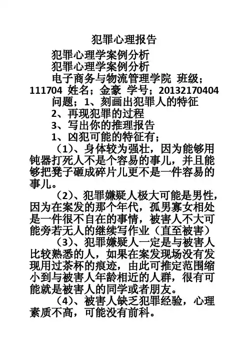 犯罪心理报告