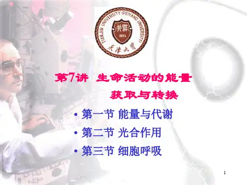 生命活动的能量获取与转换