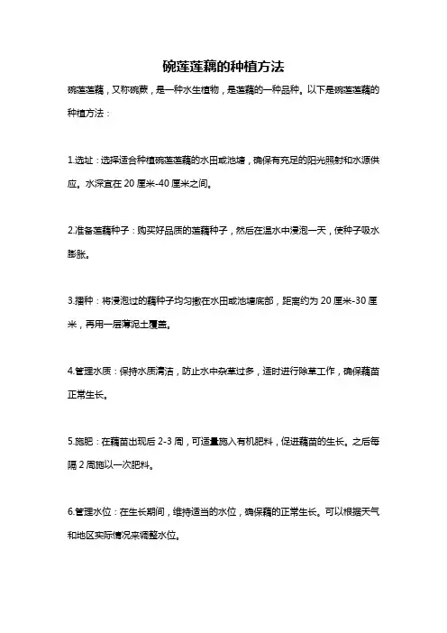 碗莲莲藕的种植方法