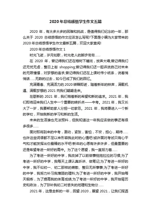 2020年总结感悟学生作文五篇