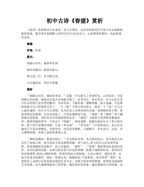 初中古诗《春望》赏析