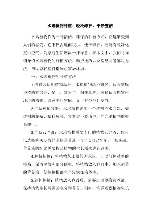 水培植物种植：轻松养护,干净整洁