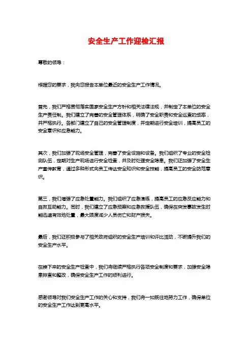 安全生产工作迎检汇报