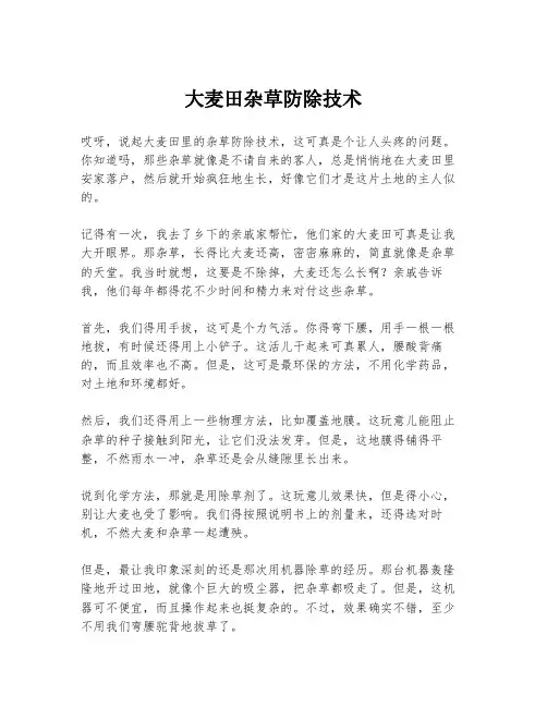 大麦田杂草防除技术