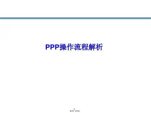PPP操作流程与法律服务